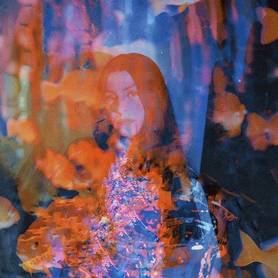 TWXA — Рыбка